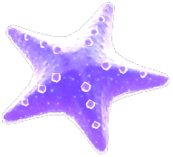 Purple Light Sea Star