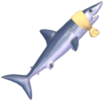 Yellow Bath-Towel Mako Shark