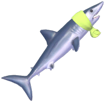 Green Bath-Towel Mako Shark