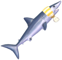 Striped Bath-Towel Mako Shark