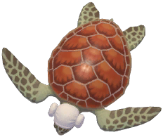 White Sauna Hat Sea Turtle