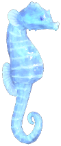 Frostspore Seahorse
