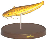 Certified Mark (Wels Catfish)