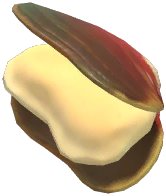 Large Pearl Mussel