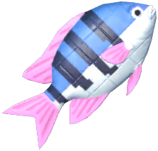 Blue Brick Clownfish