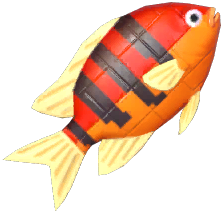 Red Brick Clownfish