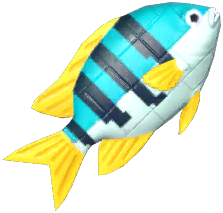 Green Brick Clownfish