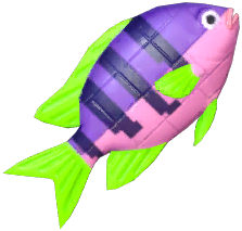 Purple Brick Clownfish