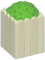 Large Flower Bed