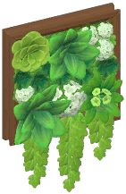 Large Wall Plant Frame