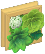 Small Wall Plant Frame