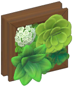Small Wall Plant Frame