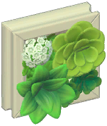 Small Wall Plant Frame