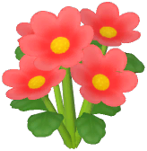 Red Daisy
