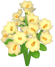 White Winter Jasmine