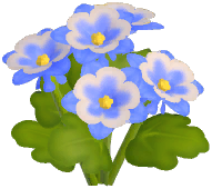 Blue Columbine