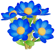 Blue Wynberg Conebush