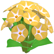 Yellow Morning Glory