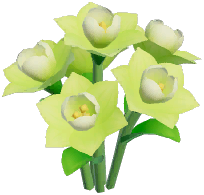 Green Daffodil