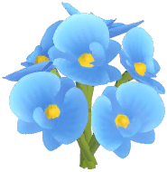 Blue Moth Orchid