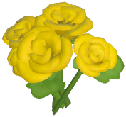Yellow Rose