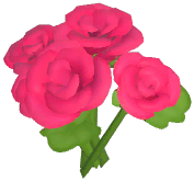 Peach Rose