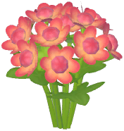 Red Masterwort