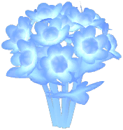Selene Masterwort