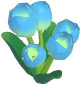 Blue Tulip