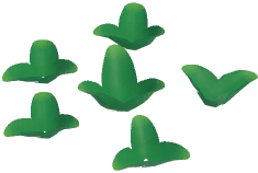 Black Tulip Plant
