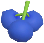 Blueberry
