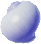 Violet Snail