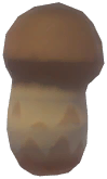 Matsutake