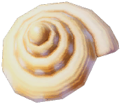 Goto's Slit Shell