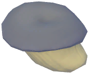 Oyster Mushroom