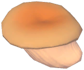 Bizarre Oyster Mushroom