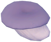 Bizarre Oyster Mushroom