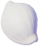 Umbilical Egg Shell