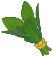 Mustard Greens