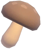 Shiitake
