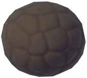 Black Truffle