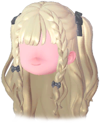 Bizarre Braided Twin Tails