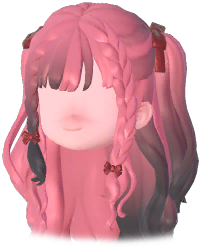 Bizarre Braided Twin Tails