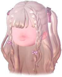 Bizarre Braided Twin Tails