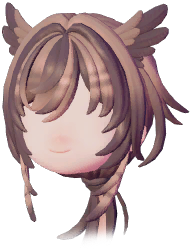 Owl-Feather Low Ponytail