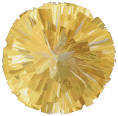 Cheer Pom-Poms