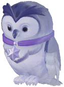 Owl Partner