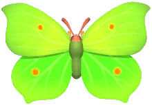 Common Brimstone