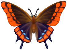 Mourning Cloak