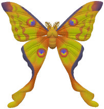 Comet Moth